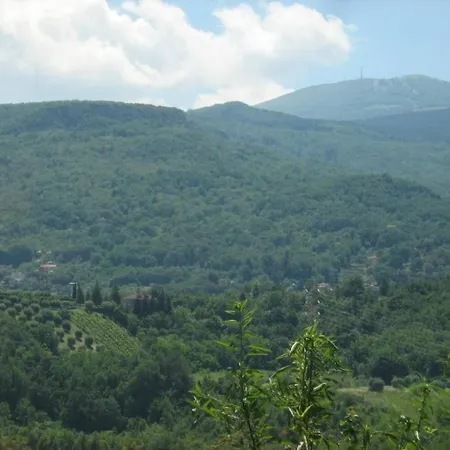 Lia * Ascoli Piceno